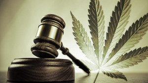 Hackensack NJ Marijuana Possession Lawyers